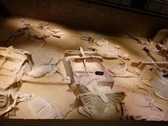 -洛阳周王城天子驾六博物馆