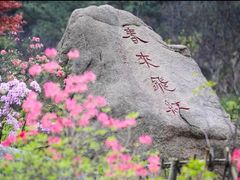-青岛大珠山景区