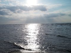 -南汇新城海滩