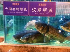 -鱼你相聚·河鲜馆(袁家岭店)