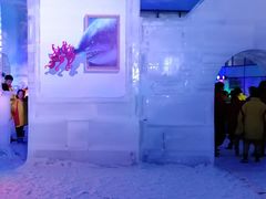 -世界之窗阿尔卑斯冰雪世界