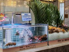 -丰卓会海鲜自助(中润大道店)