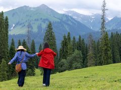 -马白开来特色羊排揪片子  (总店)