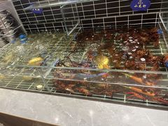 -海玥荟海鲜姿造自助餐厅(欧罗巴广场店)