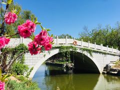 -大兴滨河森林公园