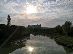 -洛阳市隋唐城遗址植物园