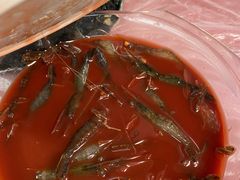 -同兴半盆菜酒家(打浦路店)