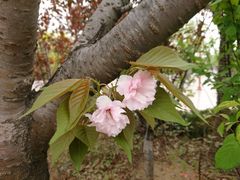 -济南方特东方神画