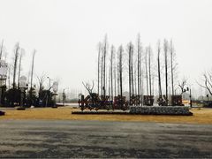 -上海长兴岛郊野公园