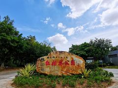 -大亚湾红树林城市湿地公园