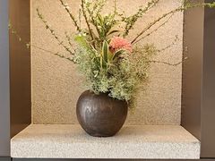 -深圳湾万象城(南山店)