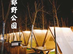 -西青郊野公园