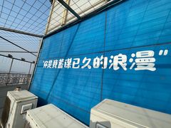 -青岛电视塔