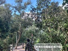-野象谷景区