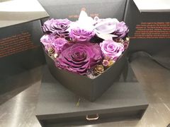 -植物学家的女儿(北马道巷店)