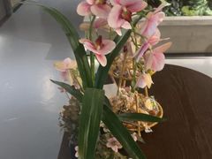 -施奈儿.洗头頭療.按摩SPA.采耳(上梅林店)