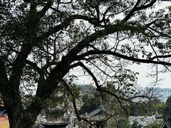 -中国观音故里广德景区