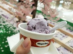 -哈根达斯(绍兴银泰店)