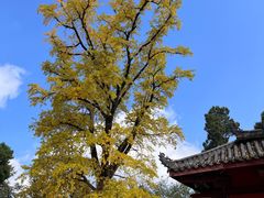 -金堂县云顶石城风景区