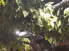-城墙拐拐火锅(三峡广场黑金冠店)