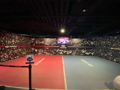 -VS SPORTS PARK运动玩乐园·团建·生日会(合生汇店)