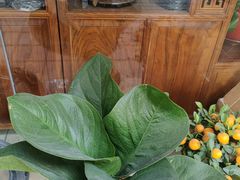-潮澎派·潮汕菜大排档(南较西路店)