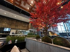 -拈菜(观音桥阳光世纪店)