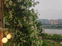 -金海湾滨江公园