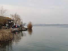 -南湖国家城市湿地公园
