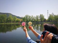 -北京植物园-展览温室