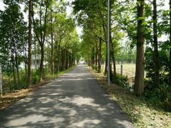 -上海长兴岛郊野公园