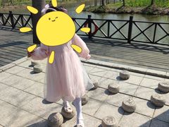 -合肥滨湖国家森林公园