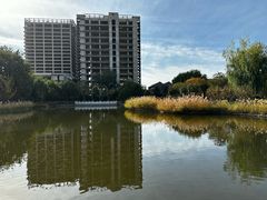-西海子公园