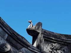 -豫园