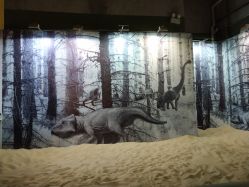 -恐龙探索乐园(磁器口店)