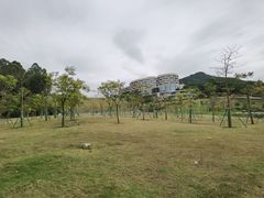-黄埔油麻山森林公园