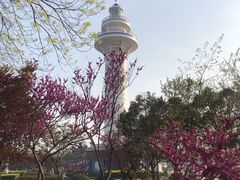 -日照灯塔风景区