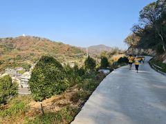 -青龙山公园