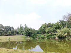 -秀丽东方