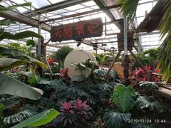 -呀路古热带植物园