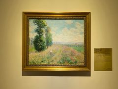 -印象莫奈时光映迹艺术展
