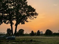 -汉长安城未央宫国家考古遗址公园