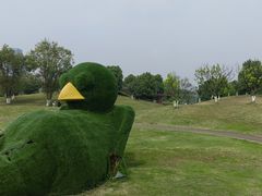 -桂溪生态公园