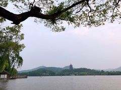 -杭州西湖柳莺里酒店·闻莺厅