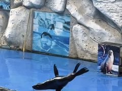 -泉州海丝野生动物世界