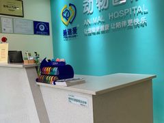 -美迦爱-牙专科·兔科·骨科诊疗中心(北苑店)