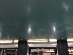 -丽思卡尔顿酒店泳池(金融街店)