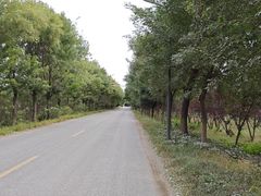 -雅鲁藏布江