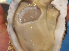 -千岛蚝高压锅生蚝·人参火锅(白云万达店)