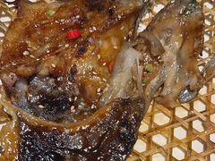 -京城·森鸽排档(双井店)